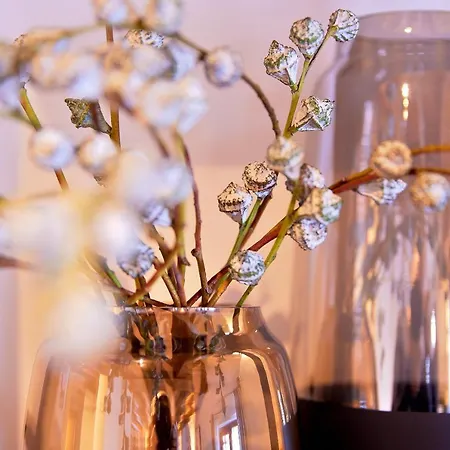 Gletscherblick * 장크트안톤암아를베르크